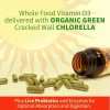 Vitamina D3 Salud Osea E Inmunologica 125 Mcg 60 Capsulas