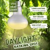 100W 2-Pack Reptile Basking Heat Bulb - UVA Daylight Heat