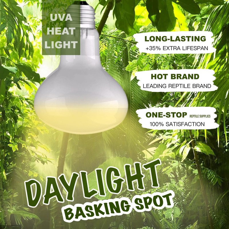 100W 2-Pack Reptile Basking Heat Bulb - UVA Daylight Heat