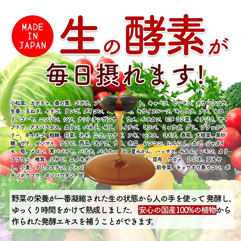 renaTerra nagomi KOUSO なごみ酵素 サプリメント ソフトカプセル 90粒 【公式】