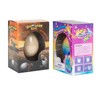 Class Collections Surprise Growing Dinosaur and Unicorn Hatch Egg Kids