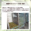 Natural Cosmetics Research Institute 100% Solution Moonpeach Water Floral Water