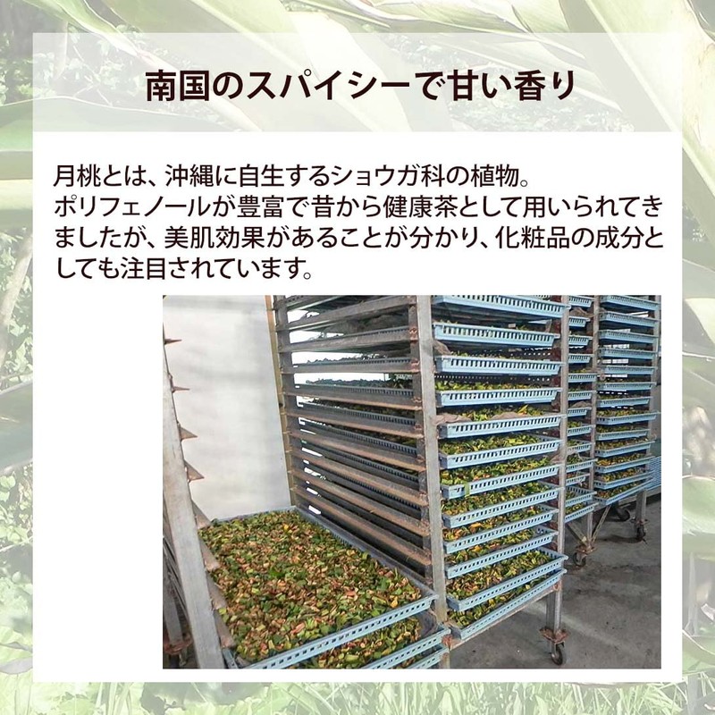 Natural Cosmetics Research Institute 100% Solution Moonpeach Water Floral Water