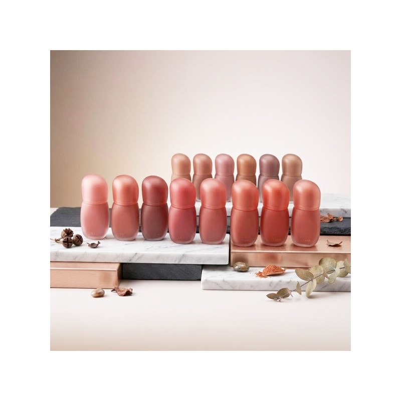 Etude Cozy Fixing Tint 4g New Color Released / 에뛰드