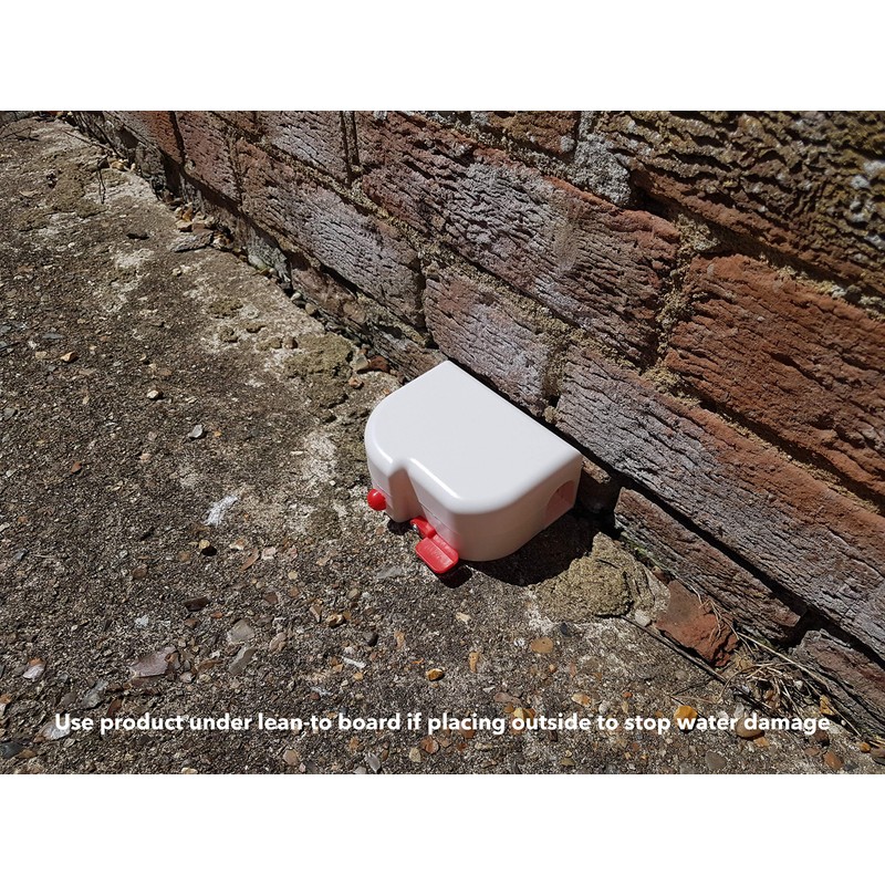 The Big Cheese Sealed and Safe Mouse Trap - Mouse