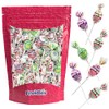 Fruidles Bubble Gum Filled Blow Pop Lollipops Hard Candy Suckers,