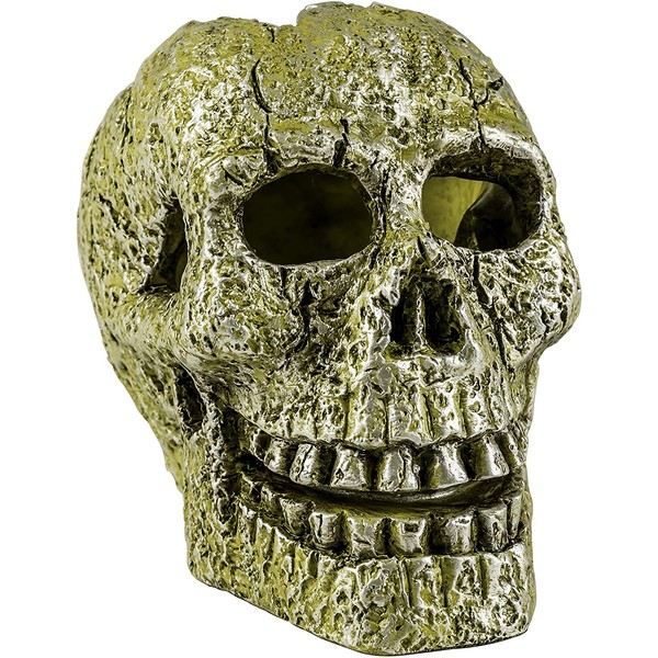 GloFish Ornament, Skull