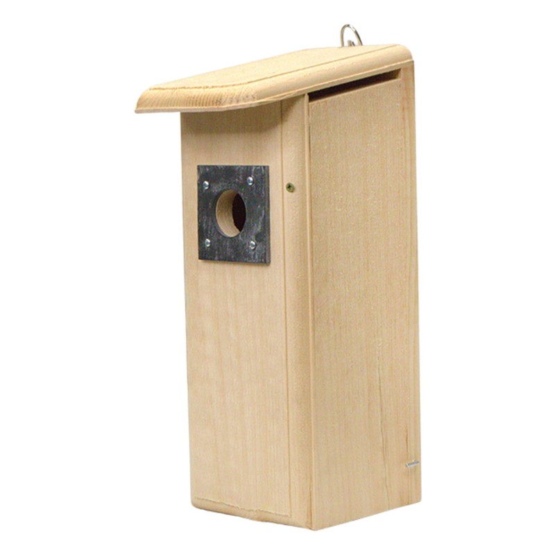 Mounted Downy Woodpecker Bird Nest House – Handcrafted in USA