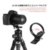 SWFOTO LS-80 80mm Ring Tripod with Quick Release Plate for