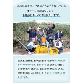 Inoue Seikoen Kettle Fired Olive Stone 3.5 oz (100 g) Mild Smoothing Soap I Skin Care