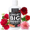 Great Big Roses – Soil and Rose Fertilizer Booster to