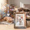 Uparea Crystal Dog Memorial Suncatcher, Rainbow Bridge Pet Sympathy Gift