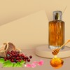 Choco Musk Eau De Parfum Spray 50ML (1.7 OZ) by