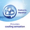 Protex Icy Cool Antibacterial Shower Gel 900ml