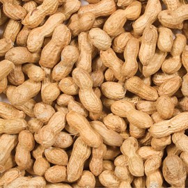 Wild Delight Inshell Peanuts, 5 lb