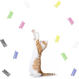 Andiker Cat Springs for Indoor Cats, 12Pc Cat Creative Toy to Kill Time and Keep Fit Interactive Cat Toy Spring Colorful Springs Cat Toy for Swatting, Biting, Hunting Kitten Toys (Colorful)