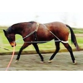 Cwell Equine NEW Horse Lunging Training Aid white one size fits all