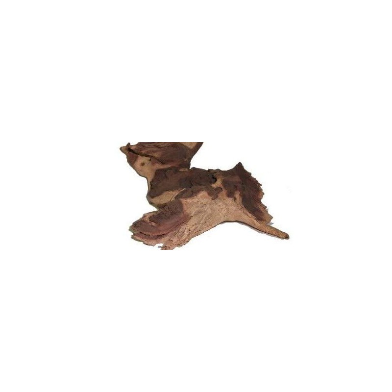 SAHAWA® Mopani Root Guaranteed 25cm Aquarium Terrarium