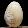 2.3" 130g White Orange Scolecite Sprays Carved into Egg Polished