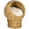 PawHut Handwoven Elevated Cat Bed with Soft Cushion & Egg