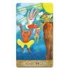 Tarot Card Divination Playful Heart Tarot with Japanese Explanation "Pocket