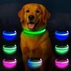 Light Up Dog Collar, Multicolor LED Dog Collar with 7