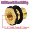 Ceaeso Brass Male Garden Hose Bulkhead Fitting With Plug, 1/2"