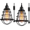 Industrial Plug in Pendant Light, Asnxcju Vintage Hanging Cage Pendant