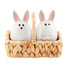 Mud Pie Bunny Salt and Pepper Set, 2" Dia x