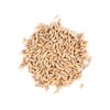 Thunder Acres Barley Seed - Certified Organic - Non-GMO (5lb)