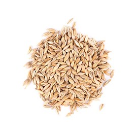 Thunder Acres Barley Seed - Certified Organic - Non-GMO (5lb)