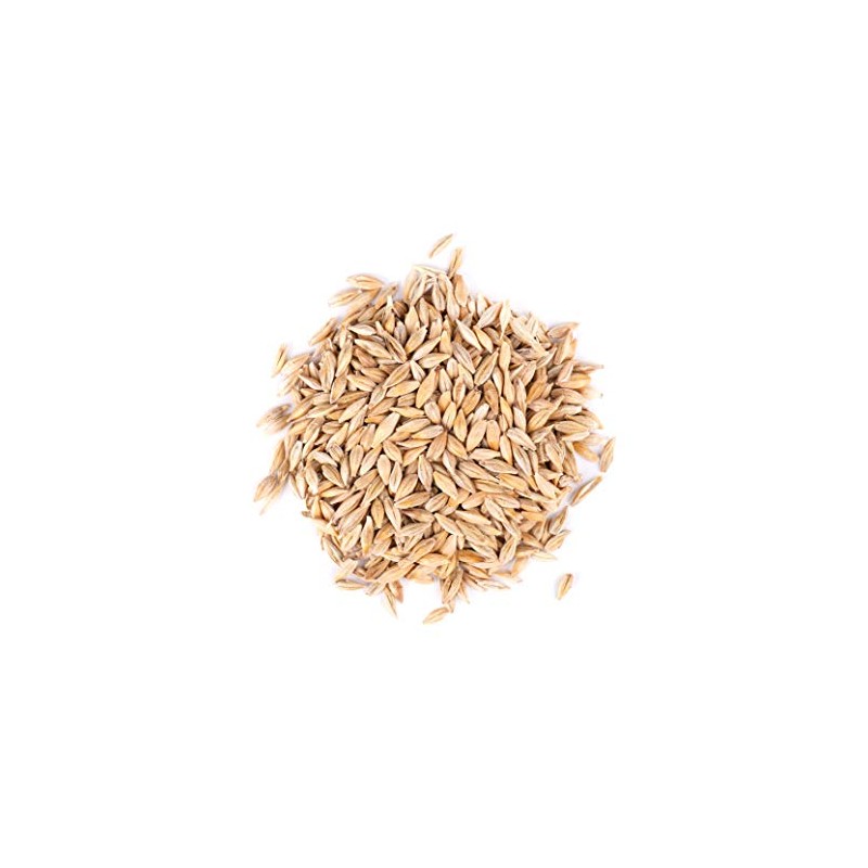 Thunder Acres Barley Seed - Certified Organic - Non-GMO (5lb)