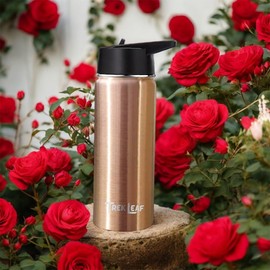 Trek Leaf Travel Water Bottle with 3 Lids (Spout, Straw, Flip) Leak Proof, Quality, Vacuum Insulated, Stainless Steel (Rose Gold, 18 oz)