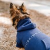 Huskimo Mt Baw Baw Dog Hoodie, Ink Blue, 33cm