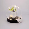 Nynelly 4.7" D X 4.7" H Clear Glass Dome Cloche