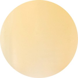 Preanfa PGU-S361 Color Gel Citrus Macaron, 0.1 oz (3 g)