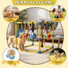 Puppy Play Gym with 10 Hanging Toys, 23.6" Removable Small