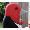 Red-headed woodpecker door knocker