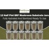 BRF Jars Mushroom Substrate (12 Pack)