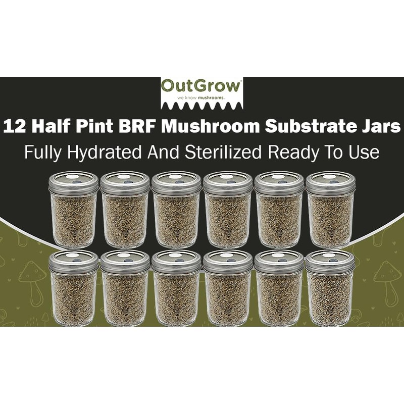 BRF Jars Mushroom Substrate (12 Pack)
