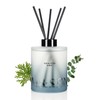 M&SENSE Eucalyptus Mint Reed Diffuser Set - 16.9 fl oz