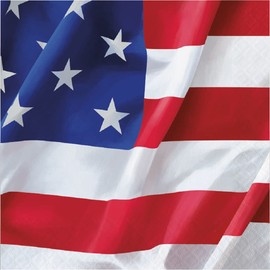 Patriotic Disposable Lunch Napkins - 32 Count | 2 packs of 16CT | Flying Flag Design