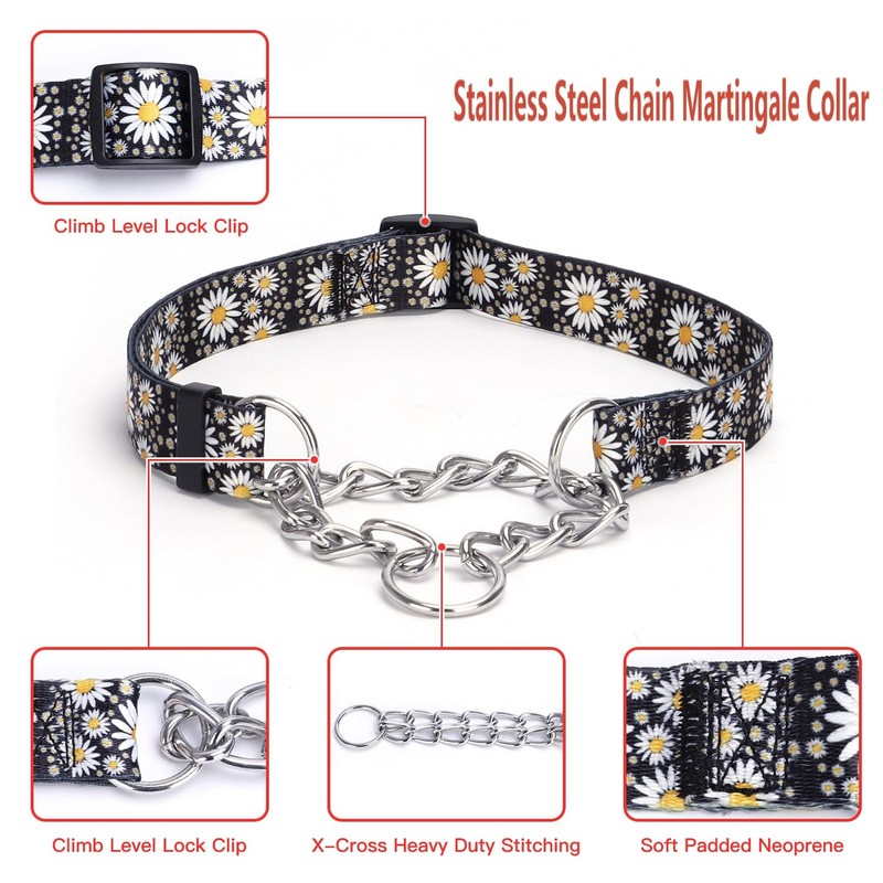 haoyueer Martingale Dog Collar - Stainless Steel Chain, No Pull