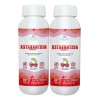 Nano Liposomal Astaxanthin (2-Pack, 16.9 fl oz each, Unflavored) -