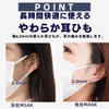 Masks, Individually Packaged, JIS Standard Compliant, 100 Pieces, Non-Woven Fabric,