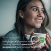 Pukka Three Mint Organic Herbal Tea Bags, After-Dinner Tea, Bags,