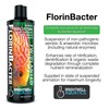 Brightwell Aquatics Florinbacter - Liquid Bioculture to Establish Biological Filtration
