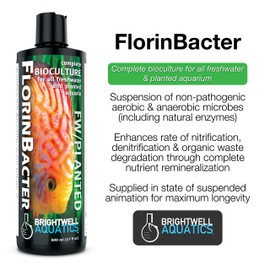 Brightwell Aquatics Florinbacter - Liquid Bioculture to Establish Biological Filtration in Freshwater and Planted Aquariums