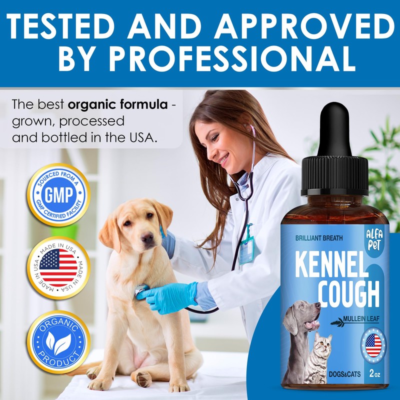 Dog Cough Treatment Liquid • Kennel Cough for Dogs &