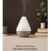 Young Living Difusor De Aceites Esenciales +1 Aceite Regalo